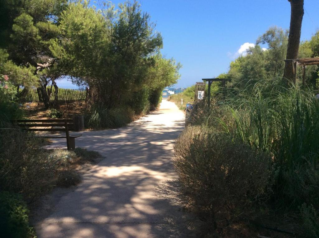 La Badine 5P Plage Piscine Clim Jacuzzi Parc Luxuriant Hyeres Luaran gambar
