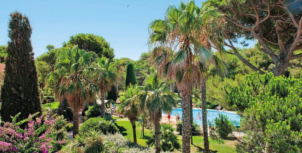 La Badine 5P Plage Piscine Clim Jacuzzi Parc Luxuriant Hyeres Luaran gambar