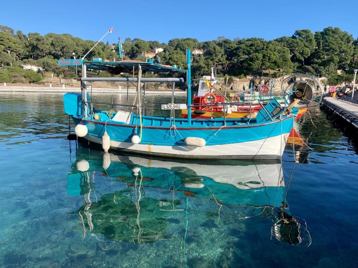 La Badine 5P Plage Piscine Clim Jacuzzi Parc Luxuriant Hyeres Luaran gambar