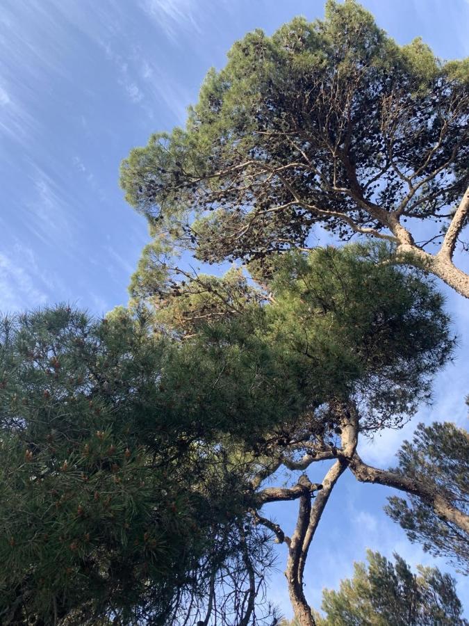 La Badine 5P Plage Piscine Clim Jacuzzi Parc Luxuriant Hyeres Luaran gambar