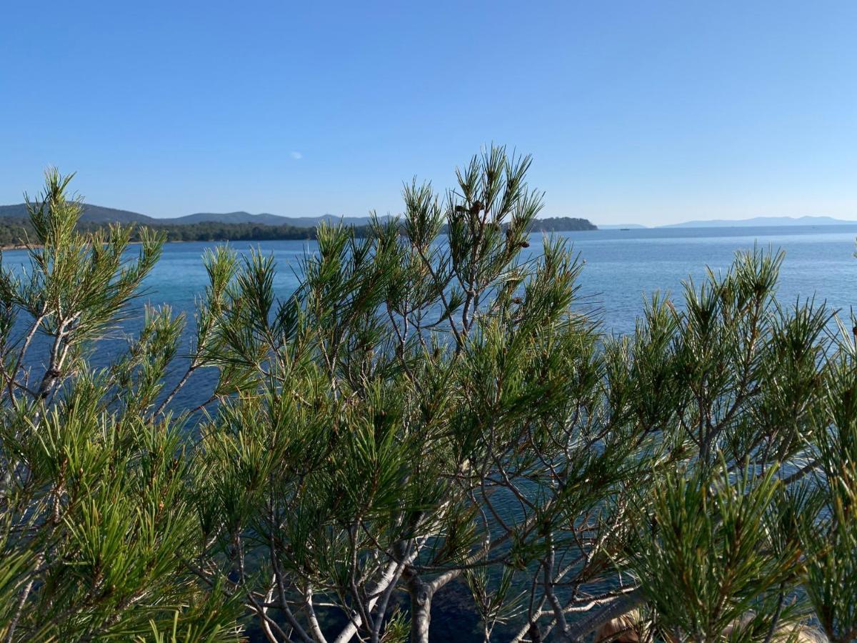 La Badine 5P Plage Piscine Clim Jacuzzi Parc Luxuriant Hyeres Luaran gambar